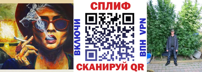 Купить где  Гдов  Конопля MAZAR 